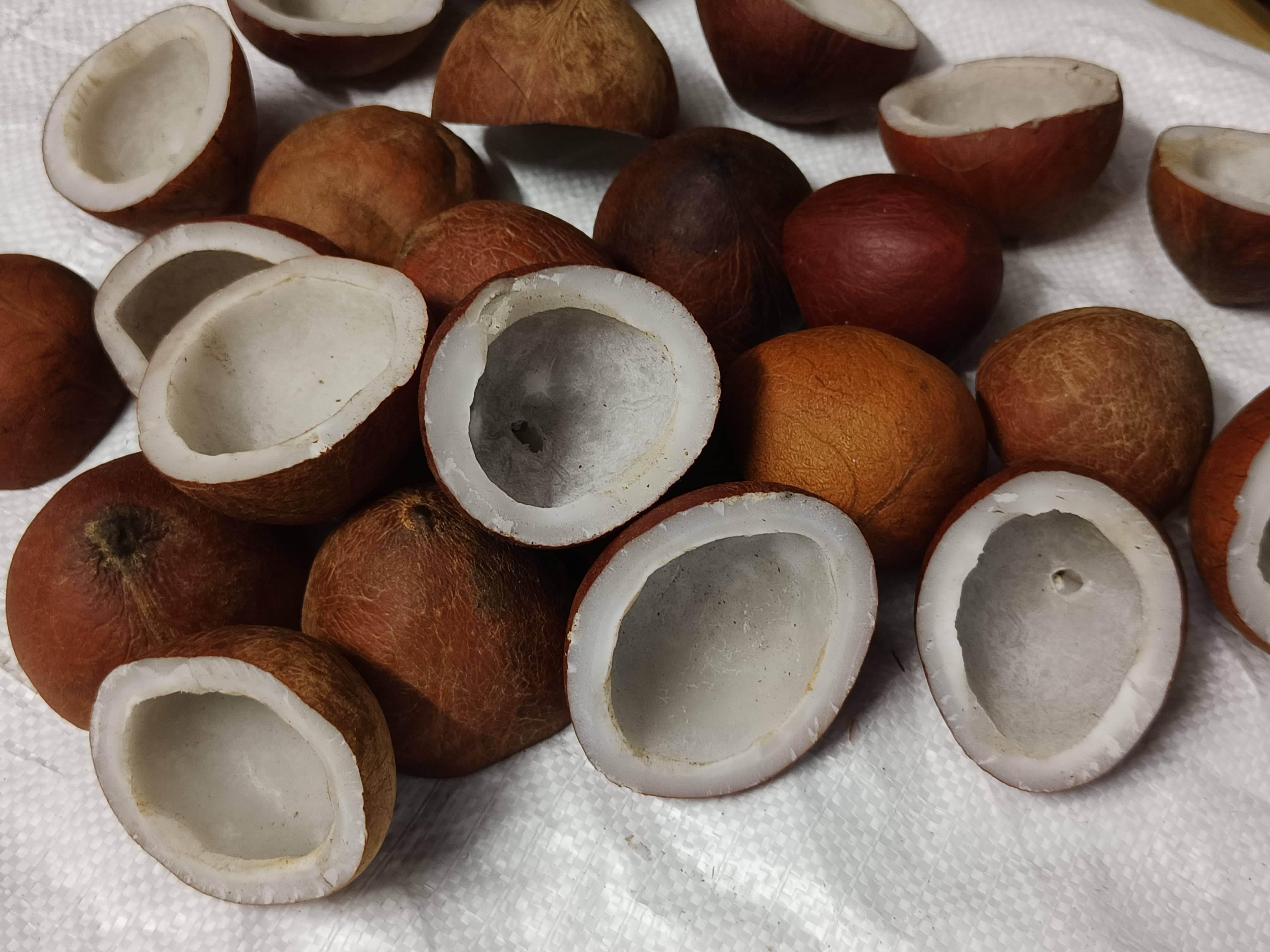 High-Quality Dry Coconut Copra