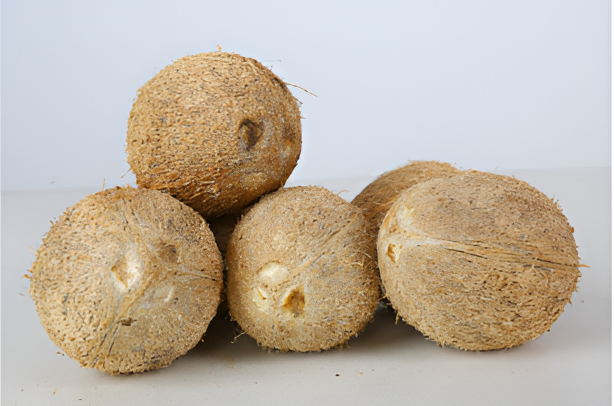 Coconut