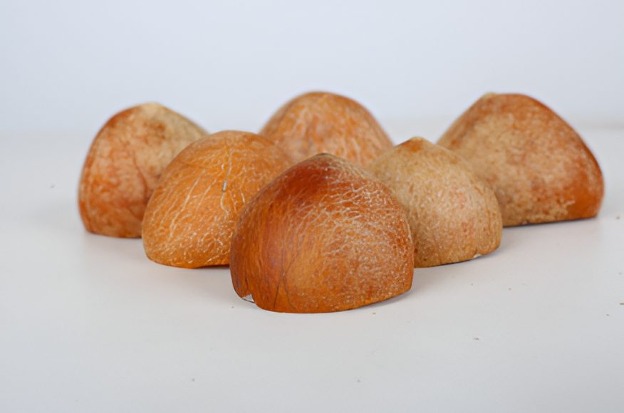 Coconut Copra - Supreme Oil Industries