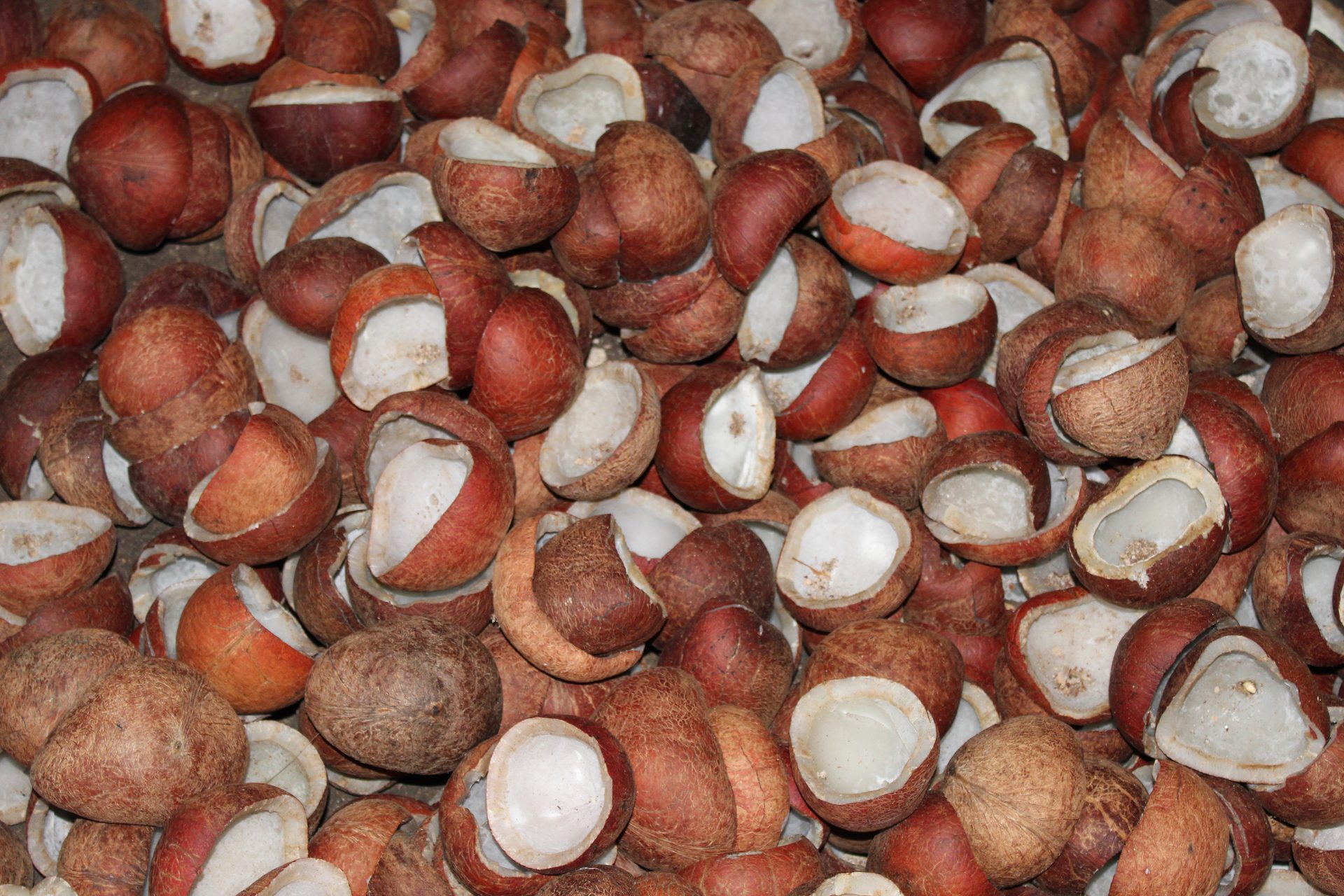 Coconut oil manufacturer