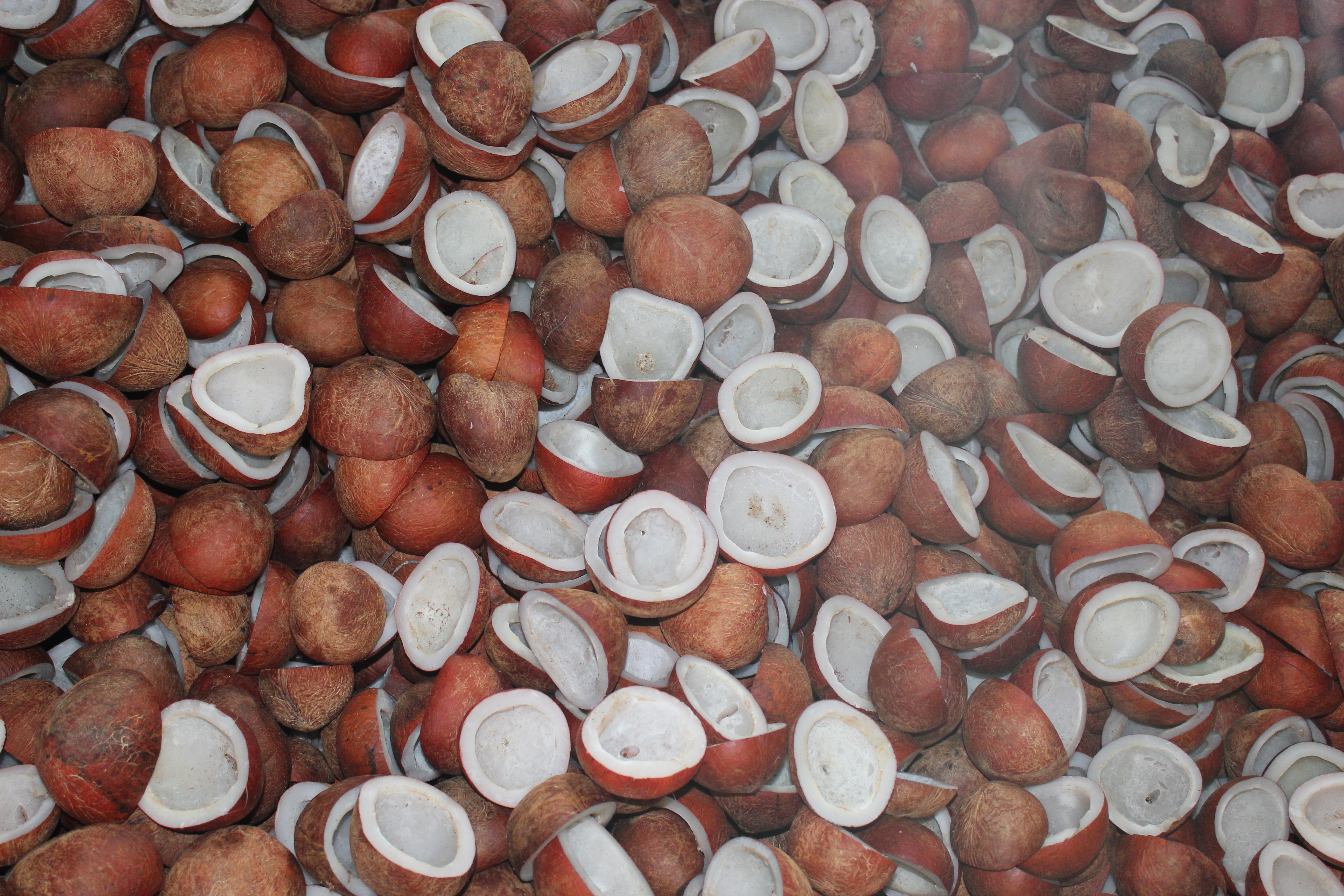 Modern Extraction Facility