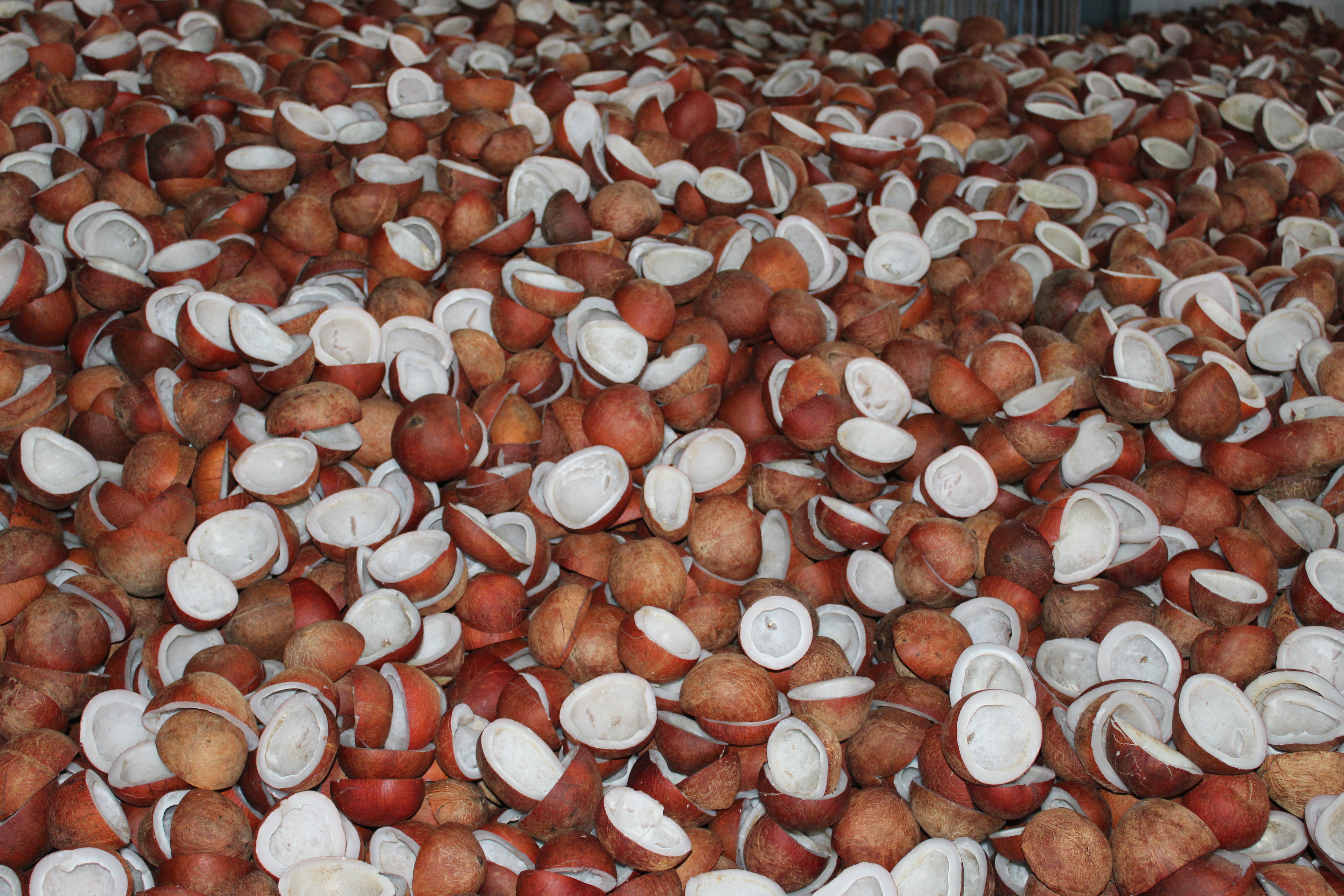 Quality Control Laboratory